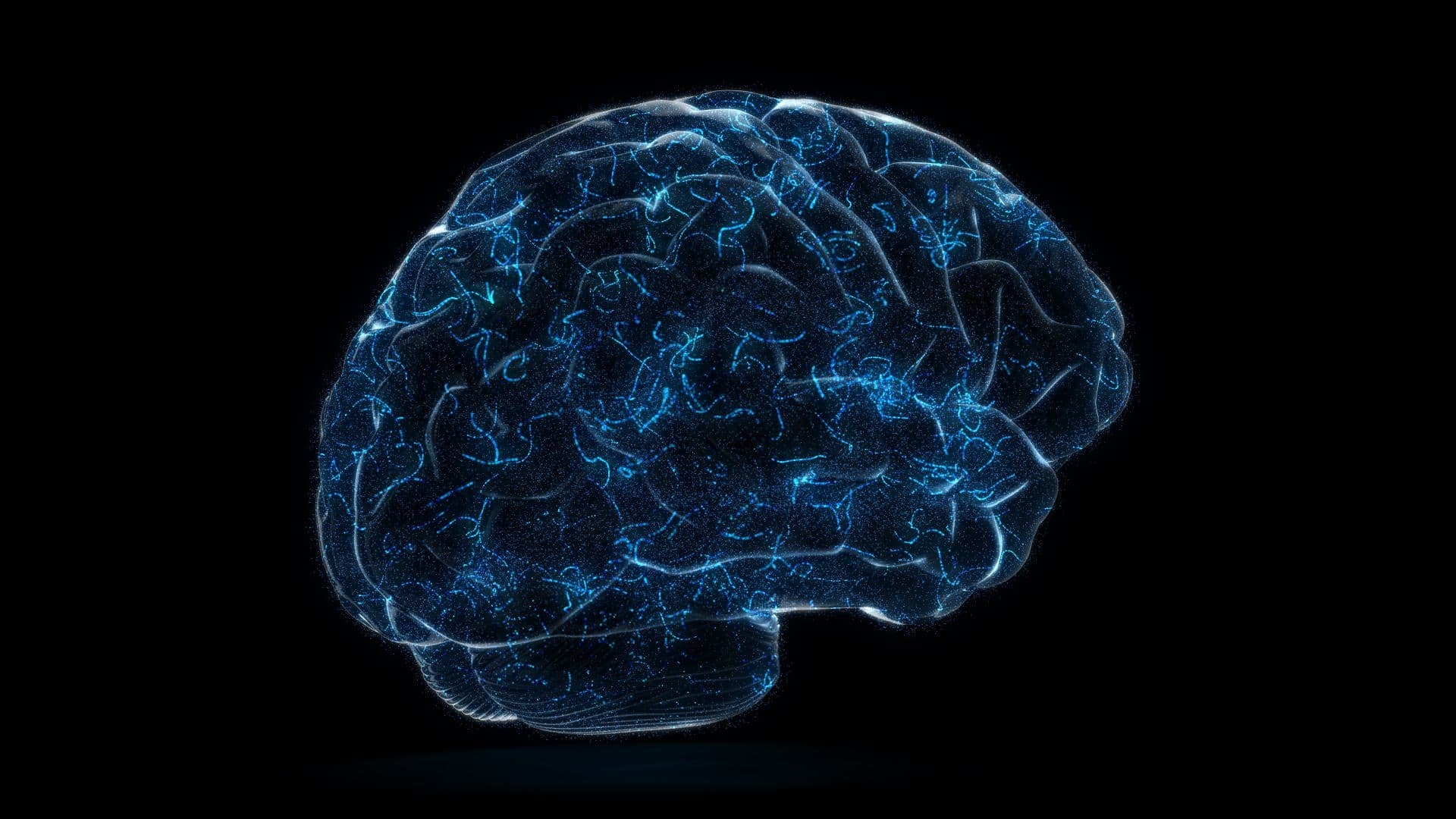 hero brain background